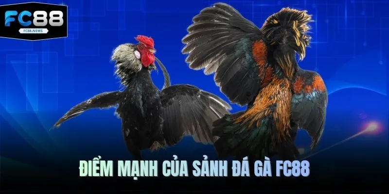 Đá Gà FC88 2 Điểm mạnh của sảnh đá gà FC88